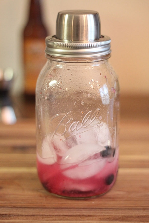 summer spritzer recipe with blueberries