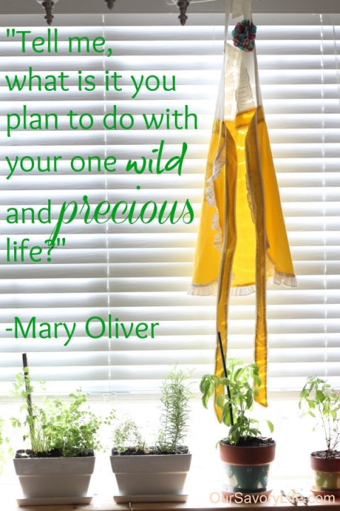 oursavorylife-mary-olive-quote