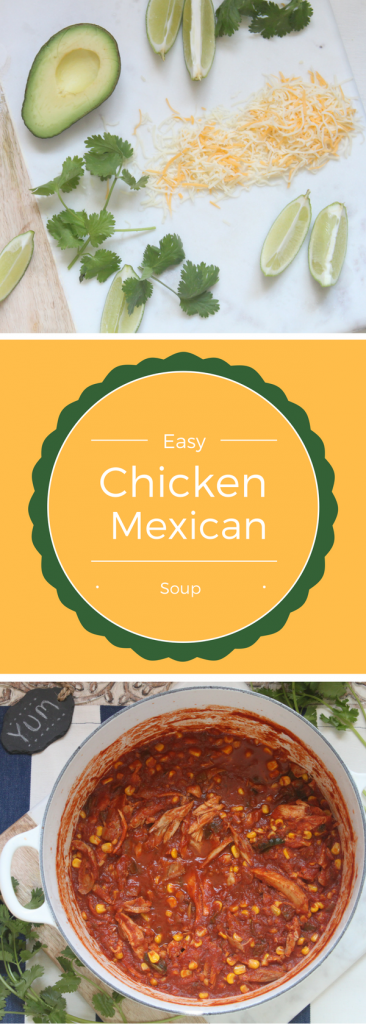 Easy, flavorful chicken mexican soup!